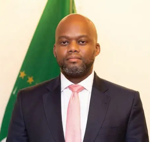 H.E. Wamkele Mene
